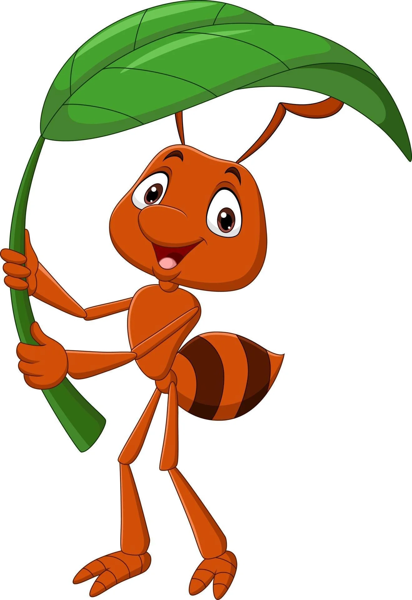 Formiga D´Espiga, Lda.