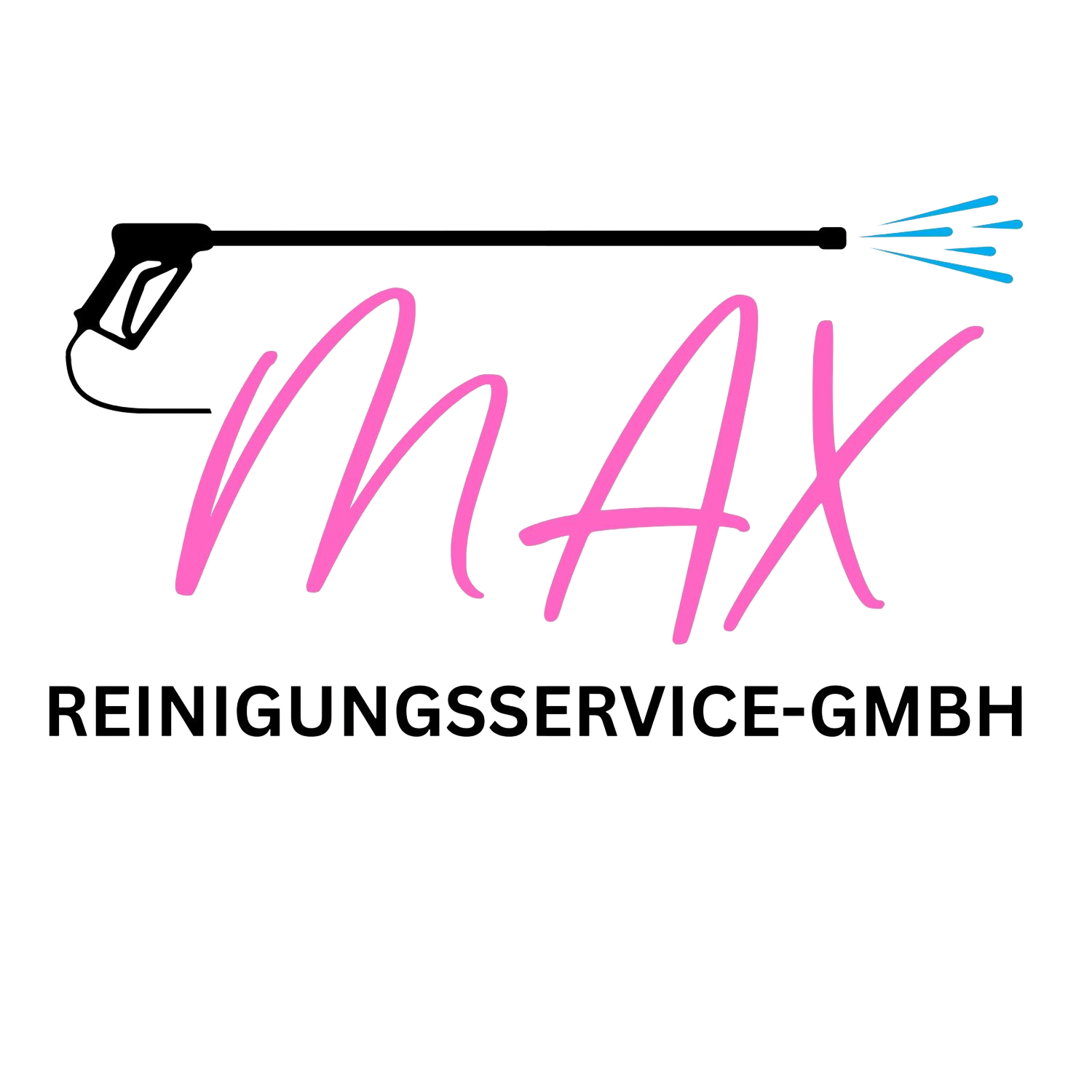 MaxReinigungsService