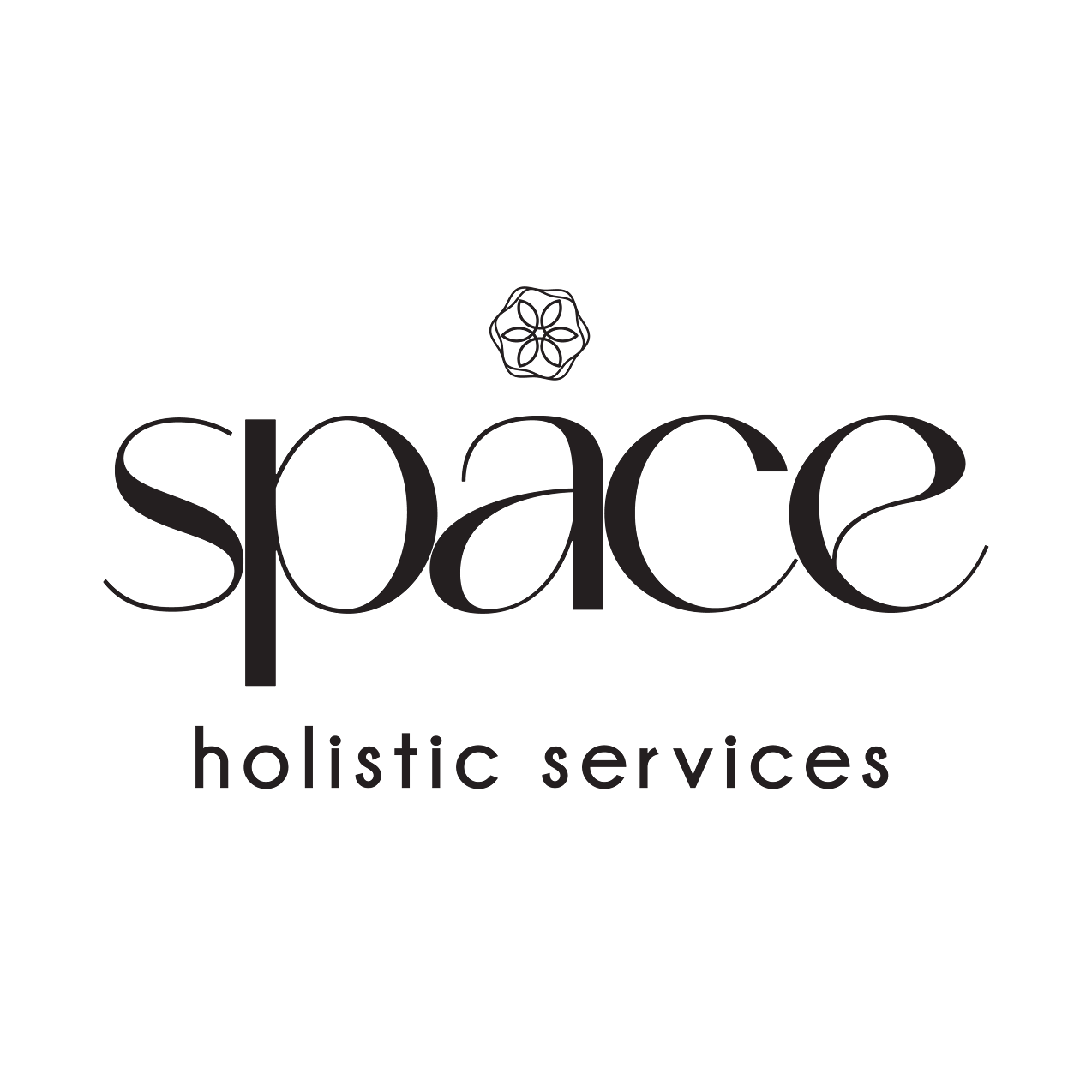 Space Holistic Services