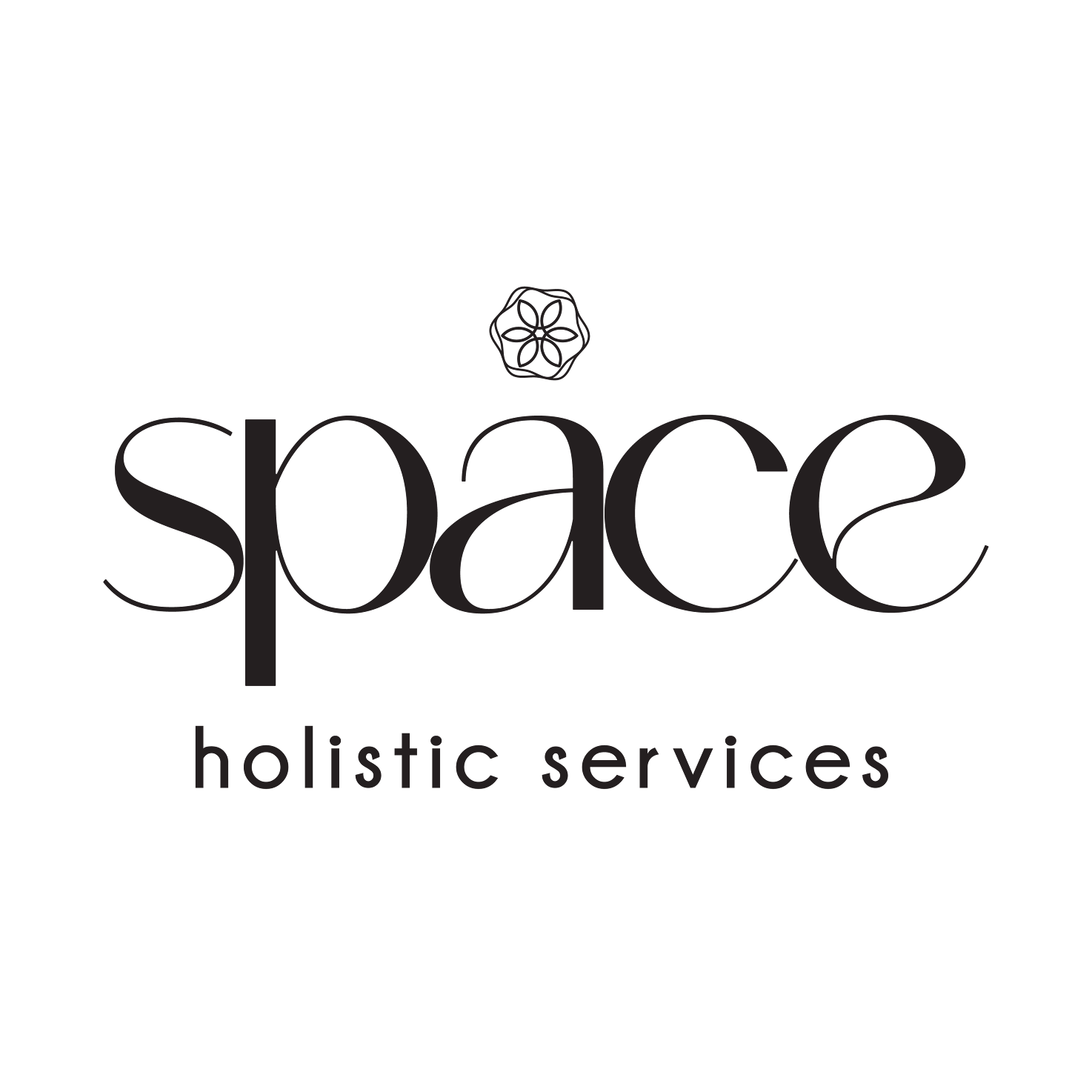 Space Holistic Services