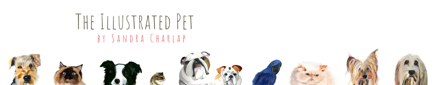 The Illustrated Pet by Sandra Charlap
