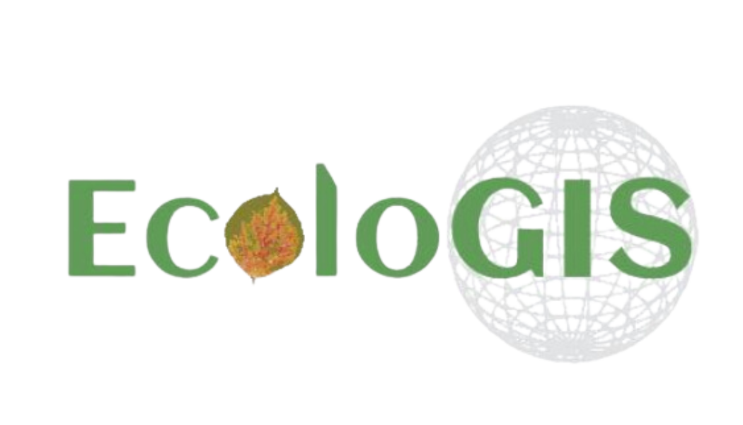 Your Site Title