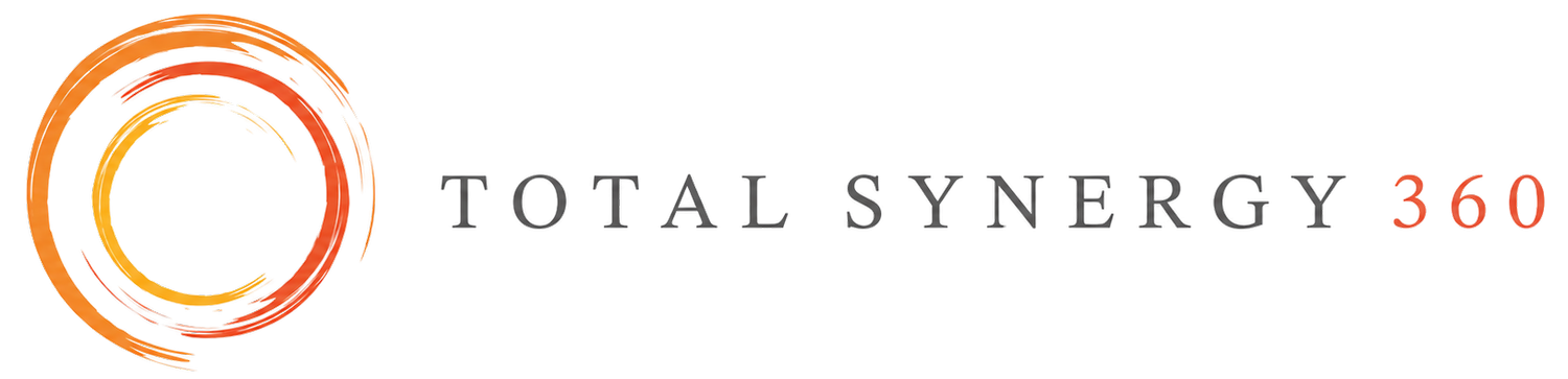 Total Synergy 360: The Profit Maximization Audit