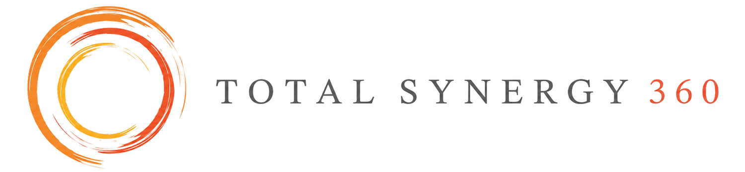 Total Synergy 360: The Profit Maximization Audit