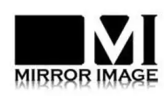 Mirror Image Painting