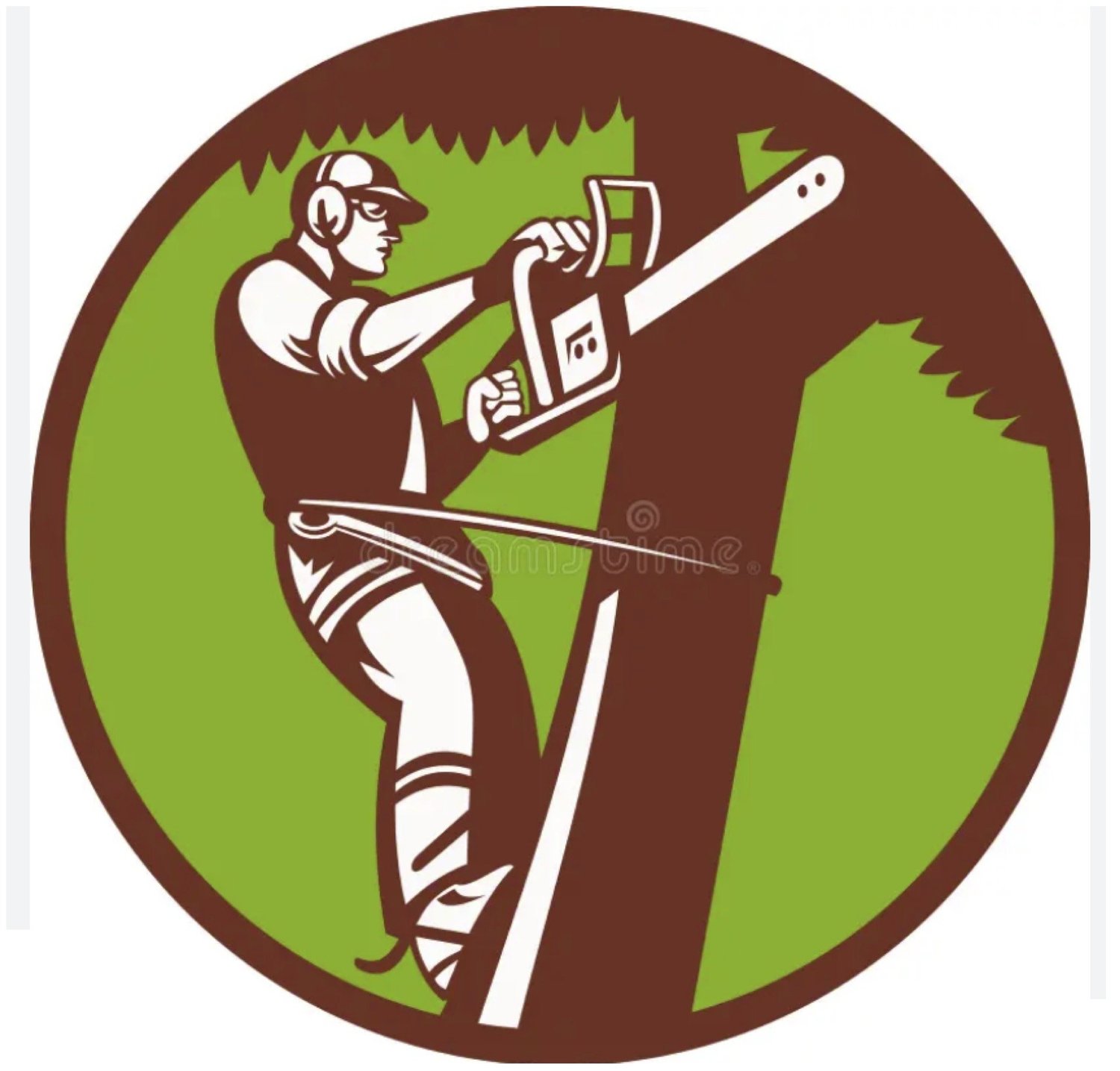 Wyoming Tree Solutions