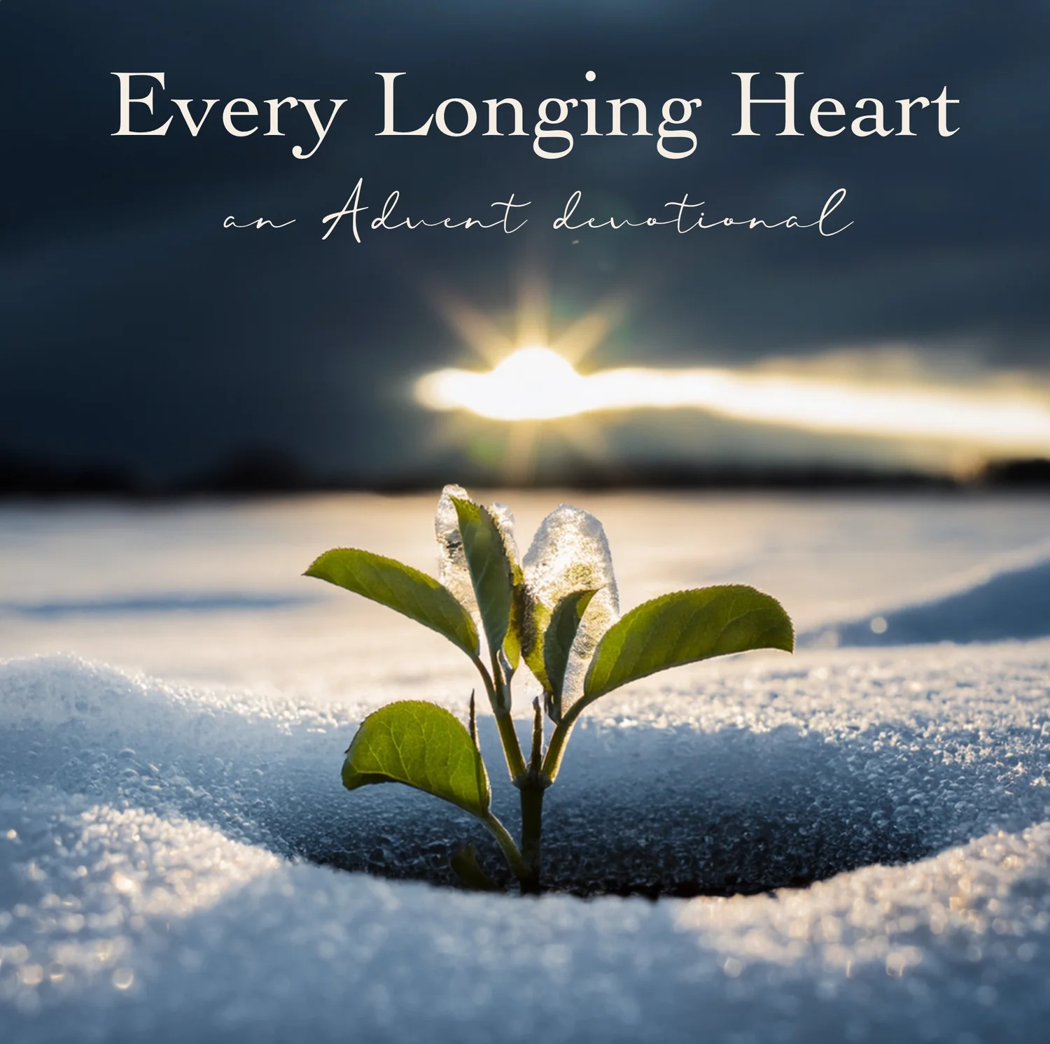 Every Longing Heart