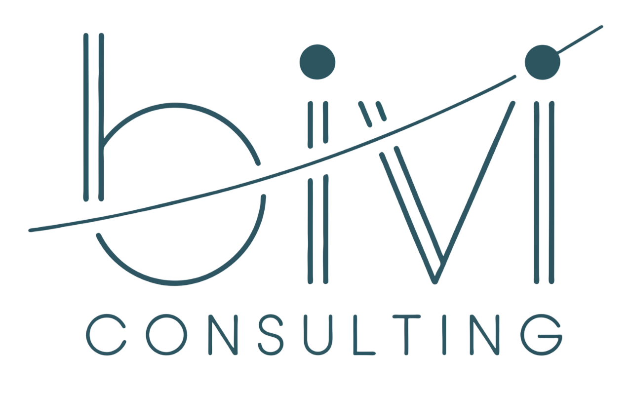 BIVI CONSULTING