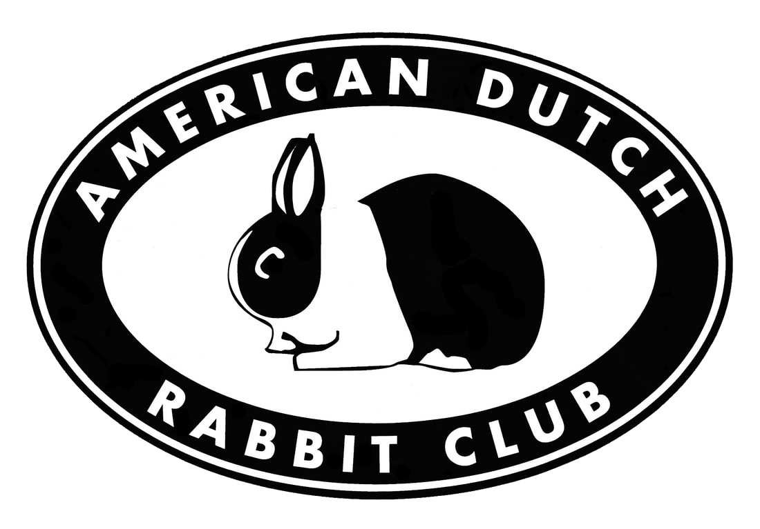 dutchrabbit.com