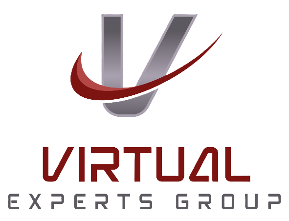 Virtual Experts Group