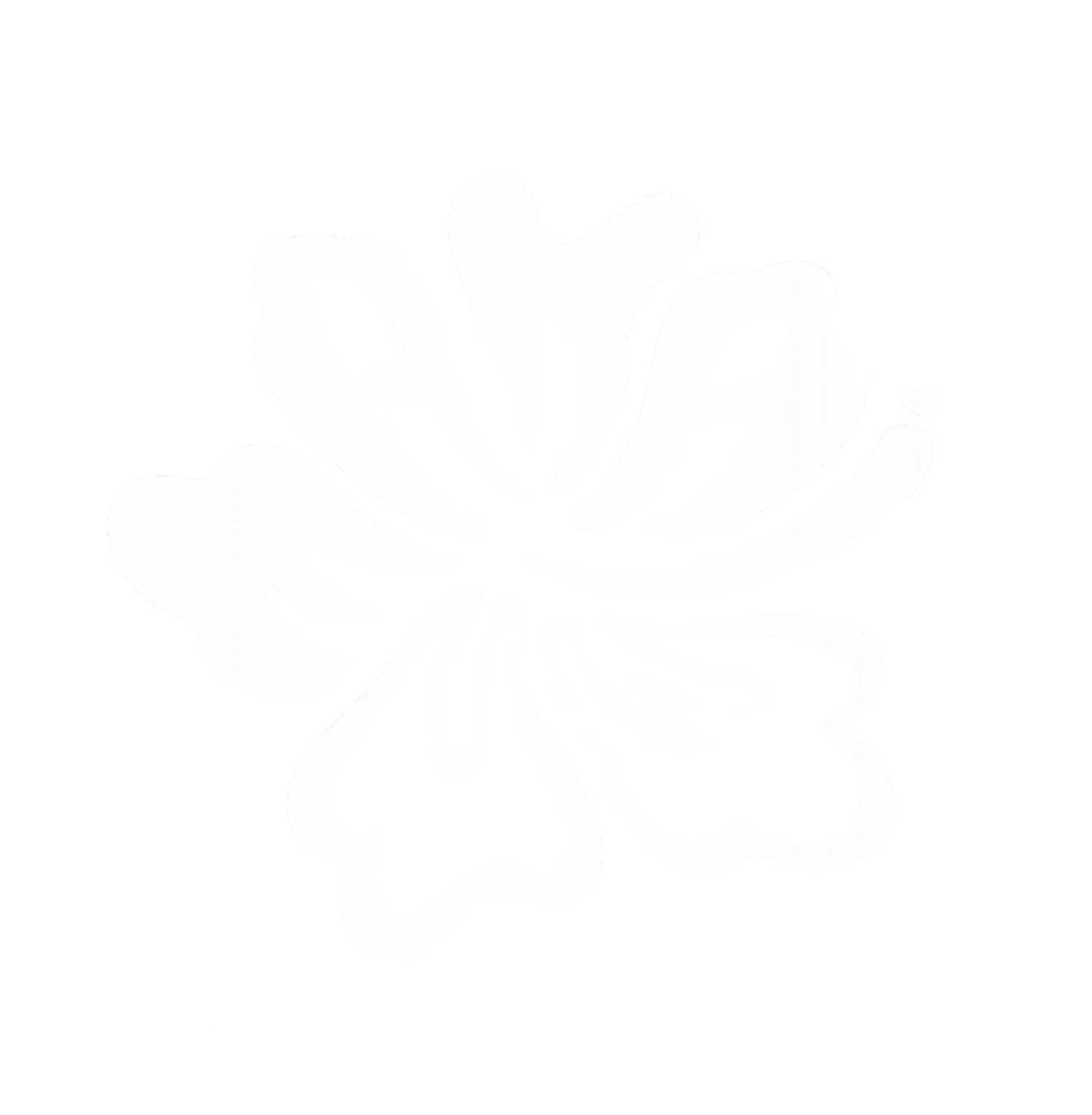 Makai Surf Club - Maui