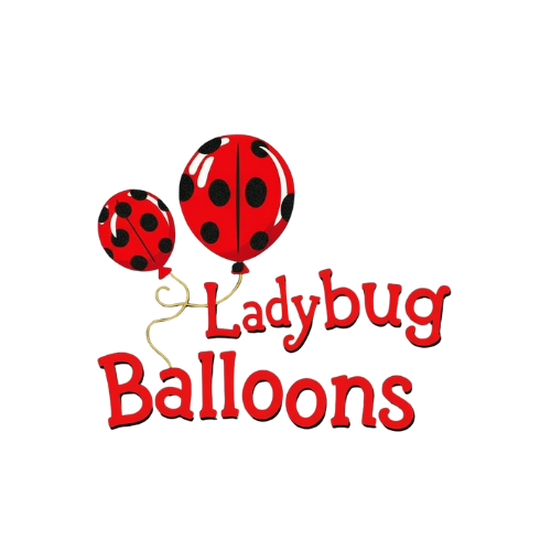Ladybug Balloon Twisting and Decor