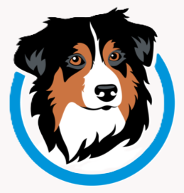 Blue Dingo Consulting