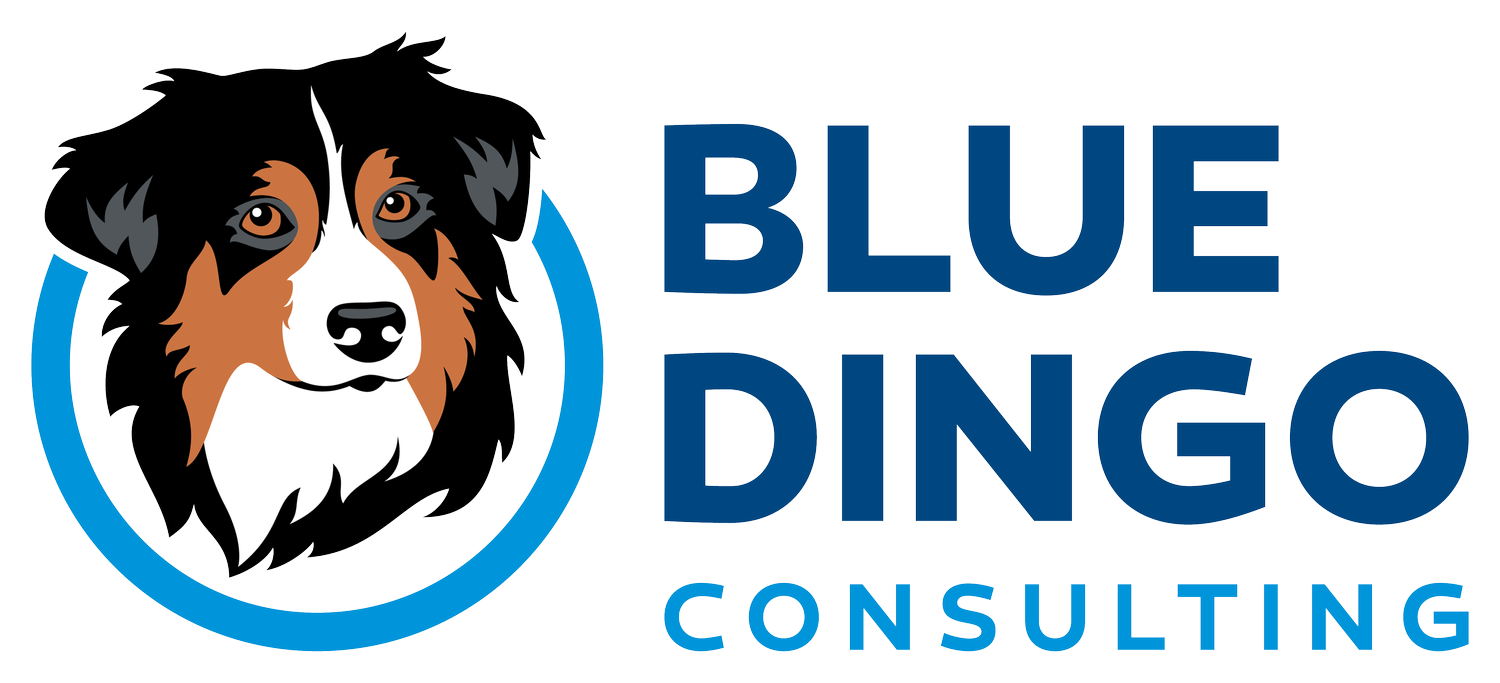 Blue Dingo Consulting