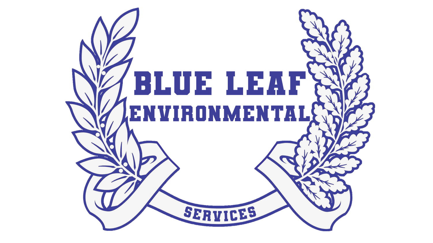 Blue Leaf Environmental