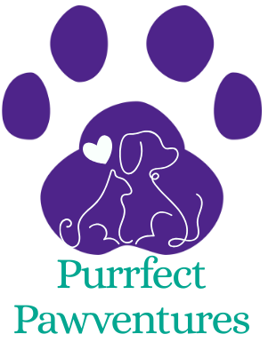 Purrfect Pawventures Pet Care
