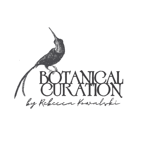 Botanical Curation by Rebecca Kowalski