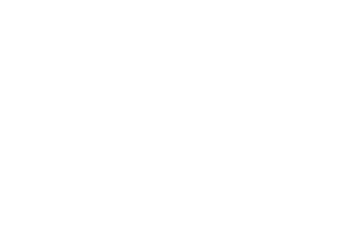 Lily Birth Collaborative