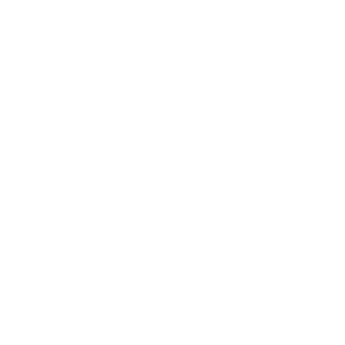 Lily Birth Collaborative