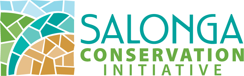 Salonga Conservation Initiative