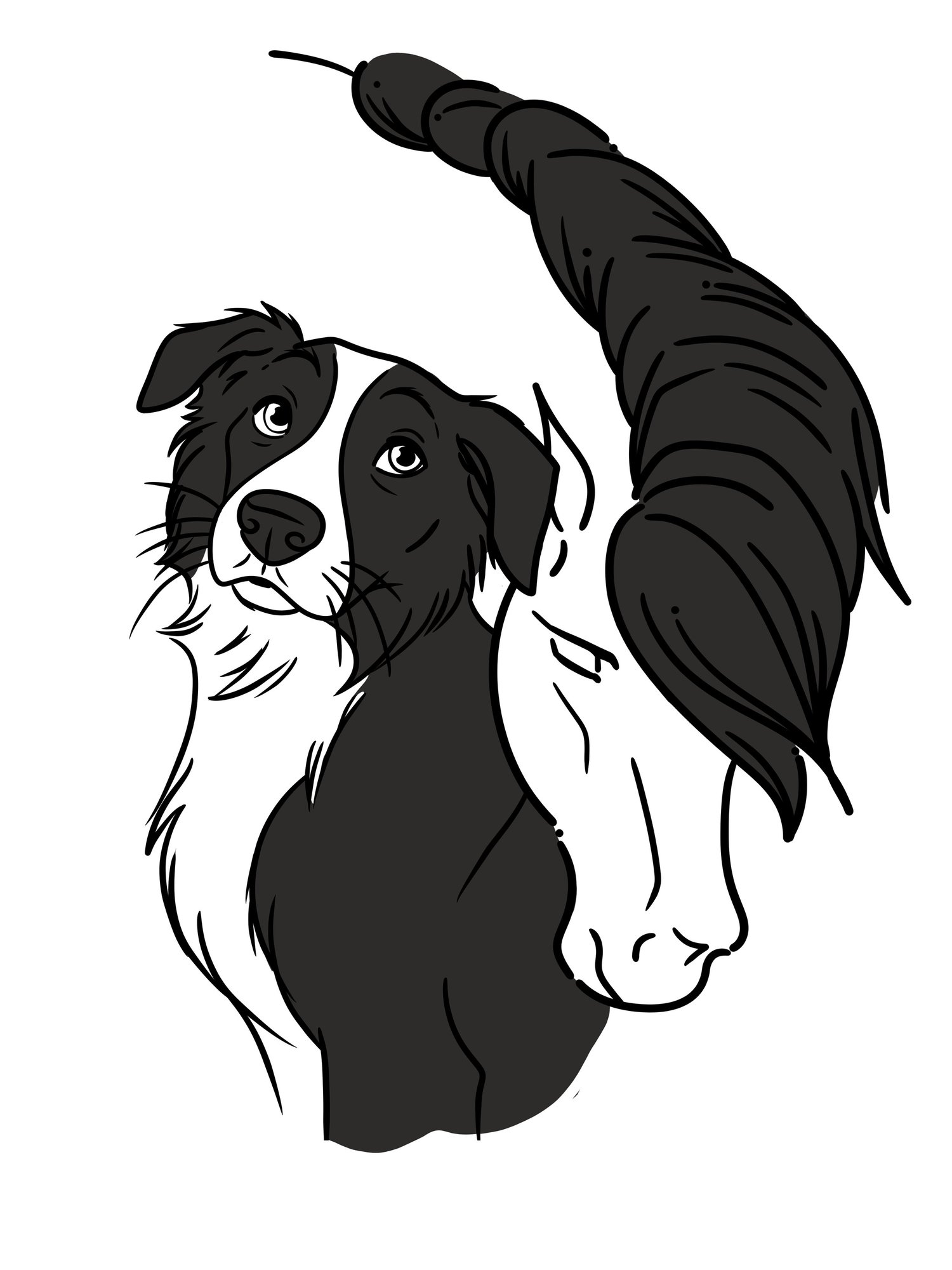 Pawsitive Motion - West London Mobile Veterinary Physiotherapy