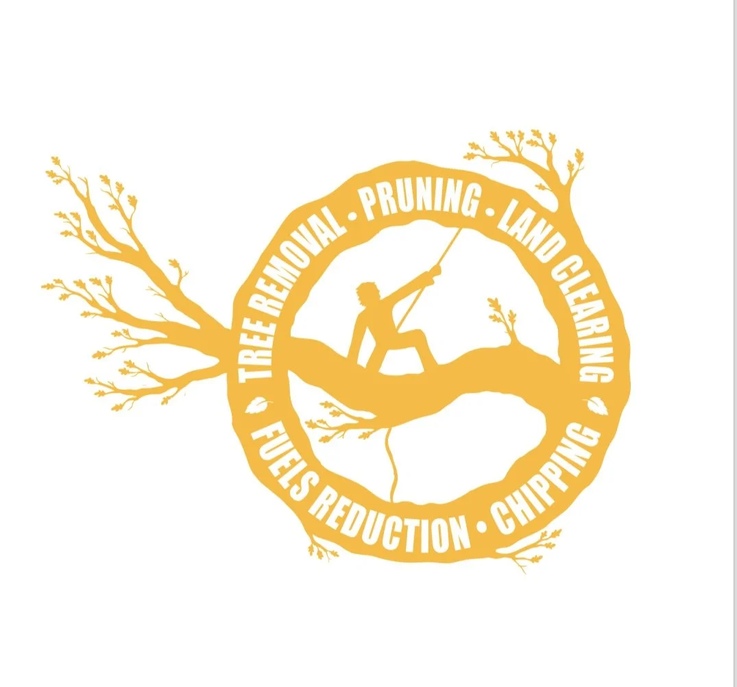 On a Limb Tree Service