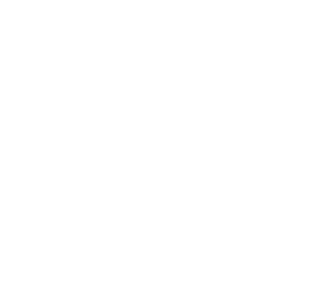 New Path Transportation