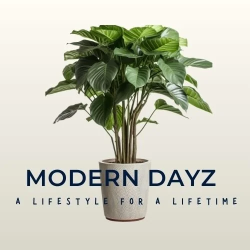Modern Dayz