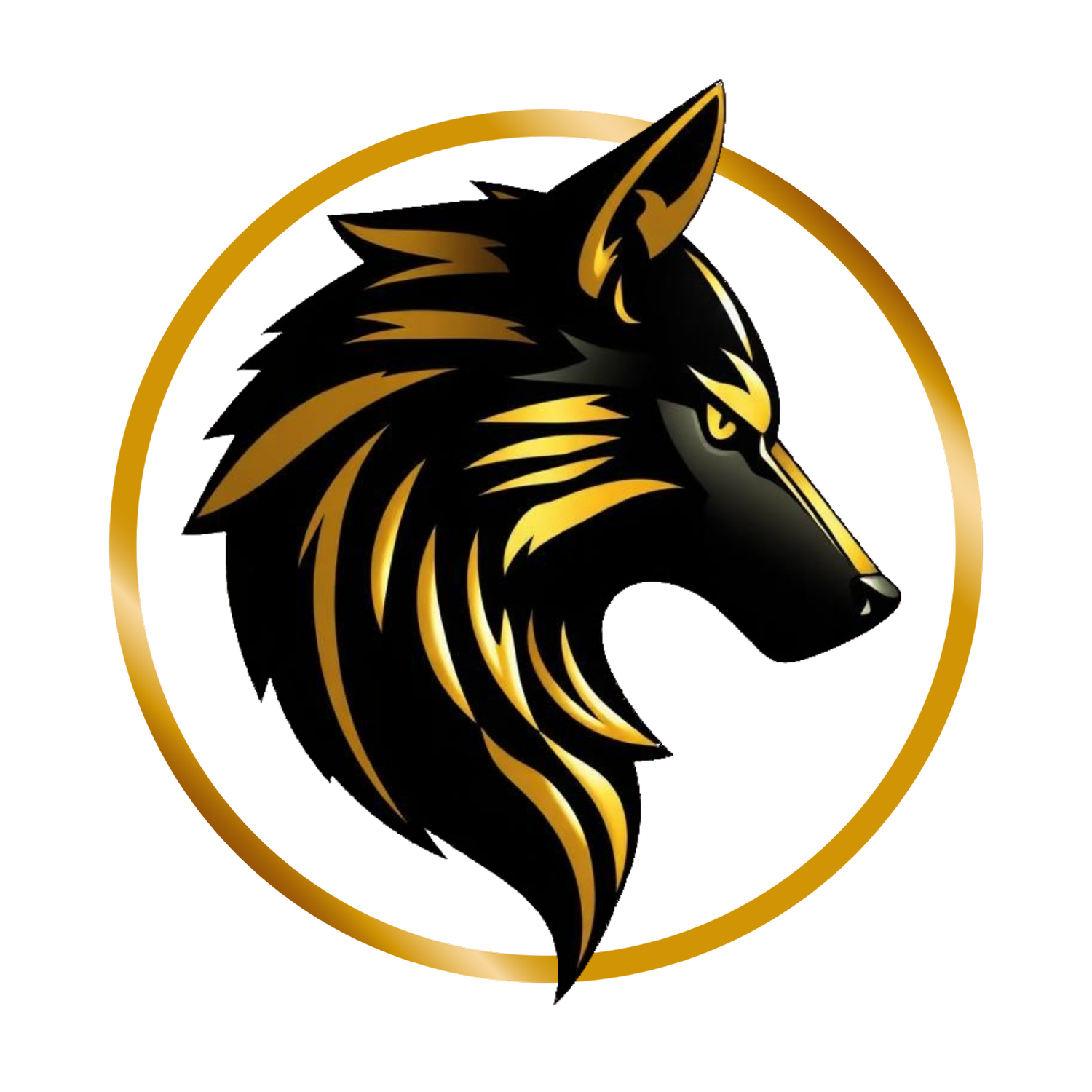 First Class Marketing International Inc.