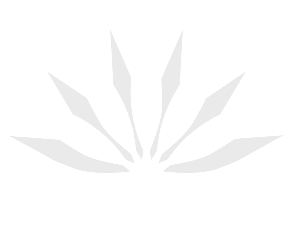 Azul Tex Mex