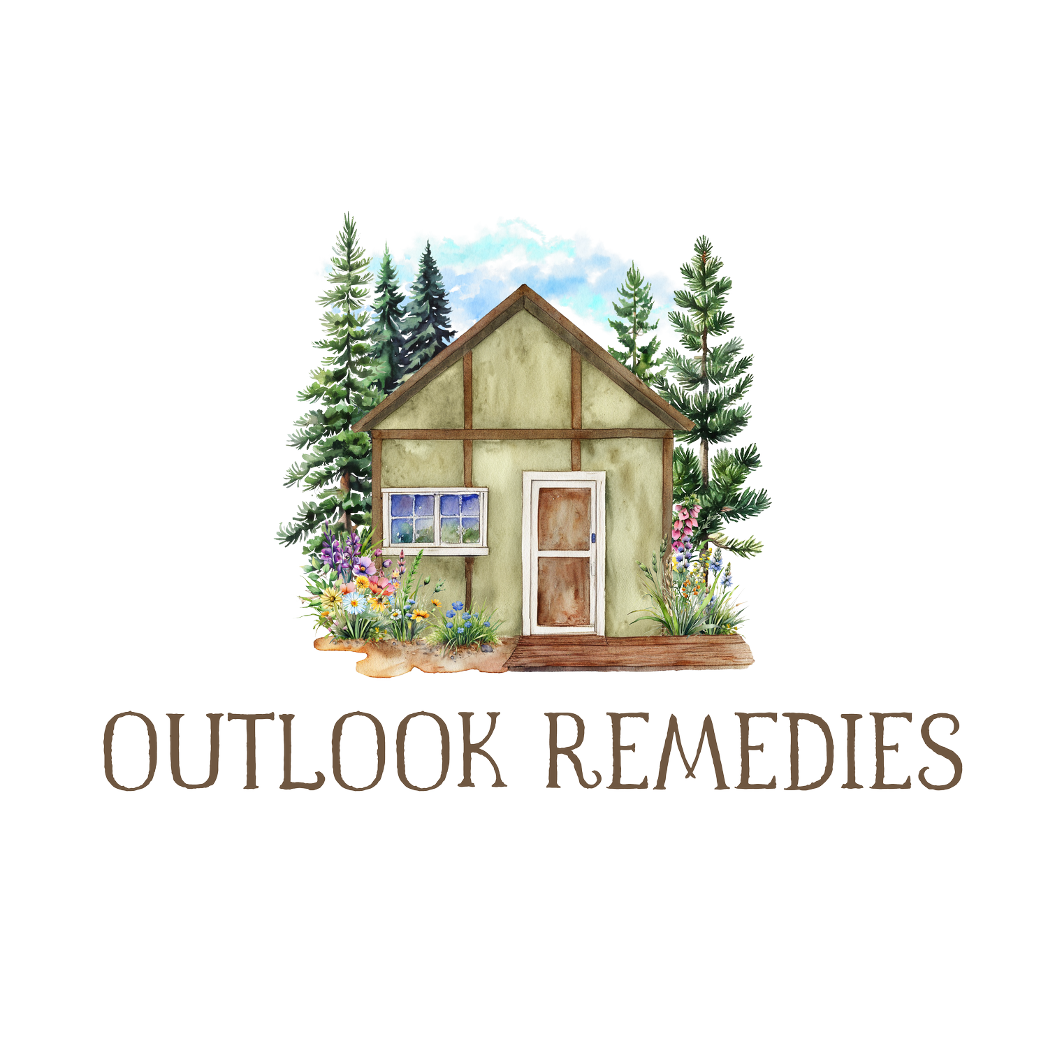 Outlook Remedies