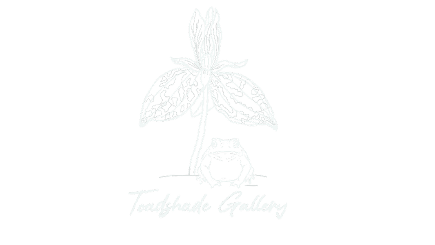 Toadshade Gallery