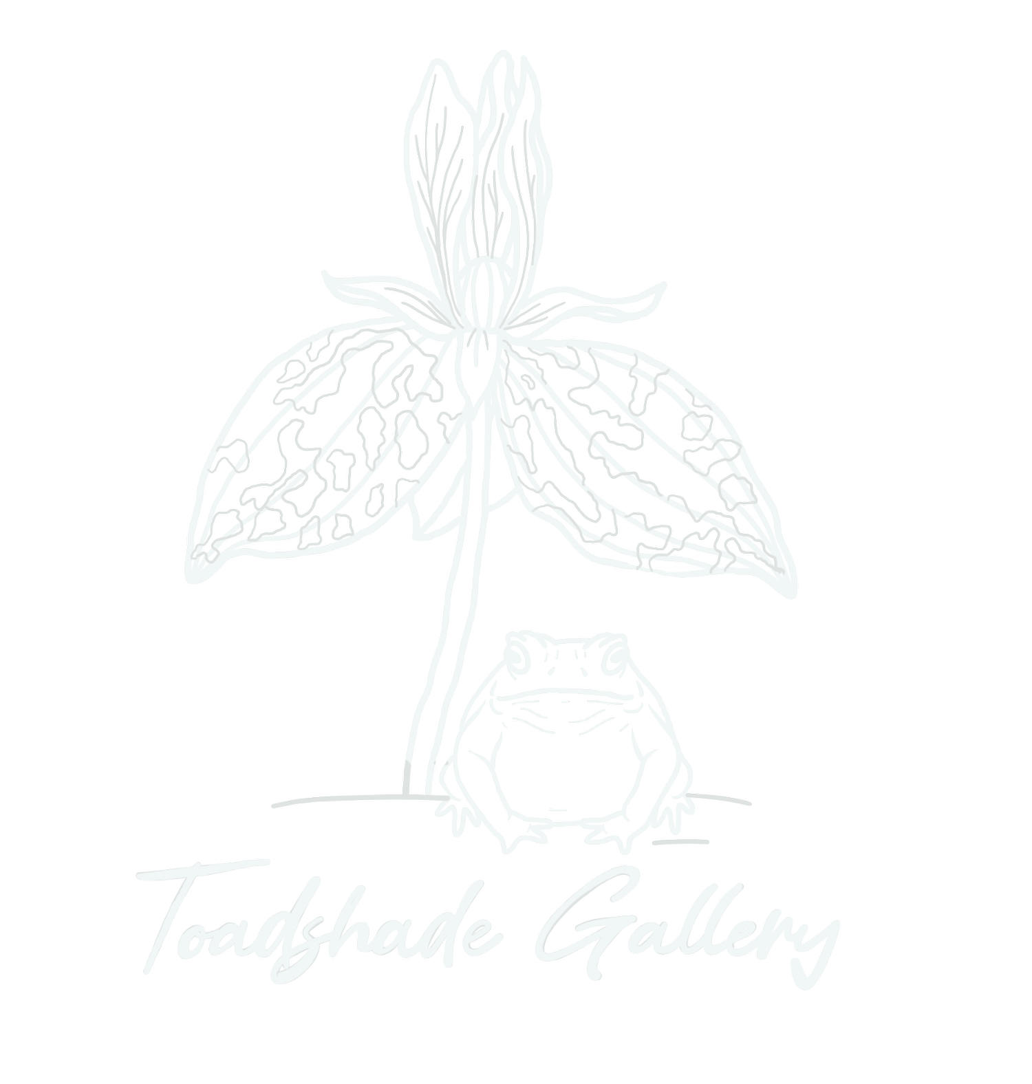 Toadshade Gallery