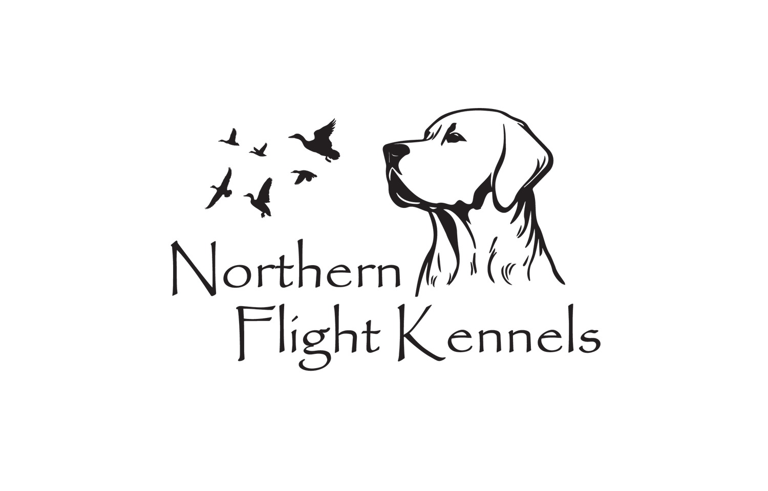 Northern Flight Kennels