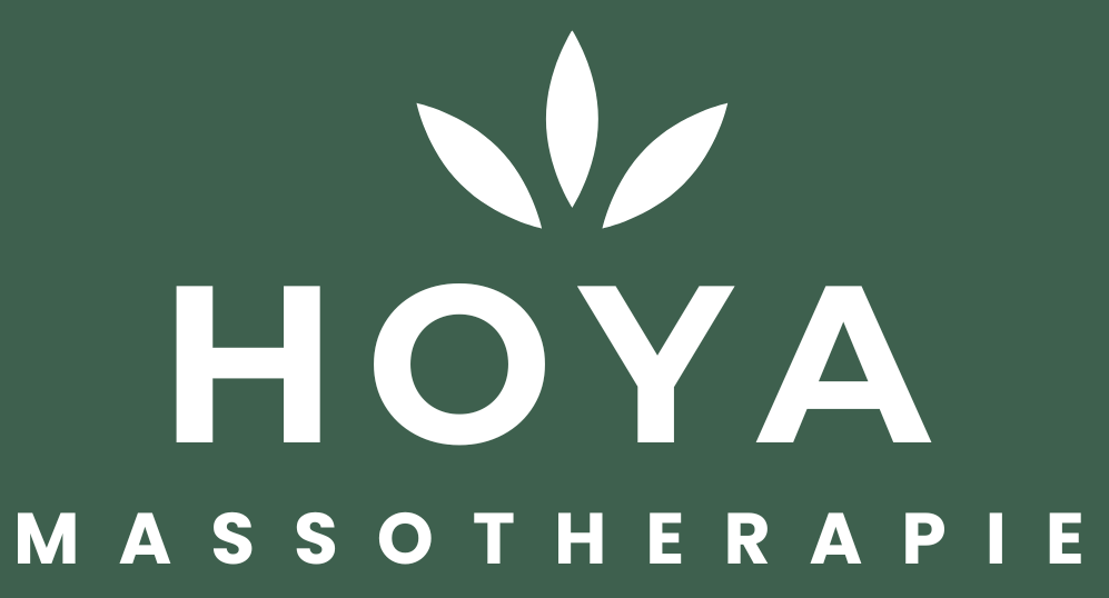 HOYA MASSOTHERAPIE