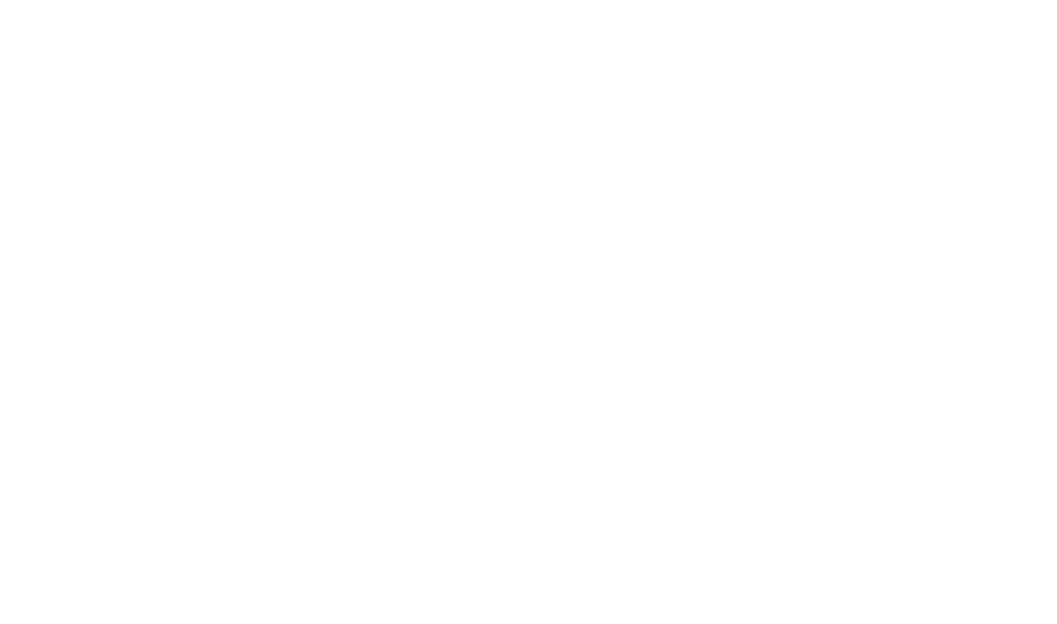 Sawtooth Ski Poles