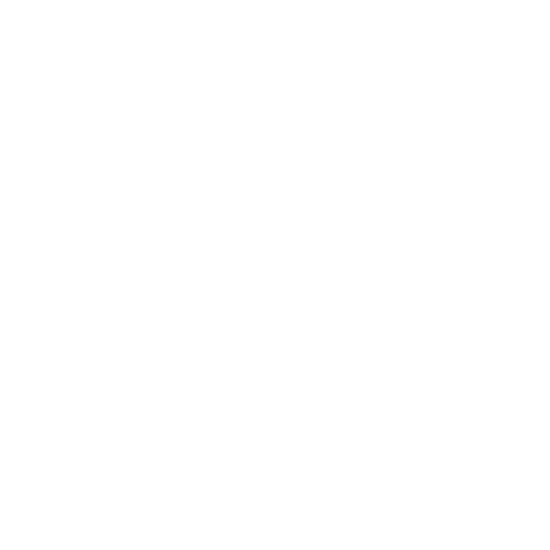 The Detailed Bride