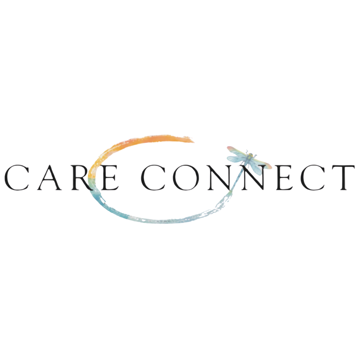 Care Connect NoVa