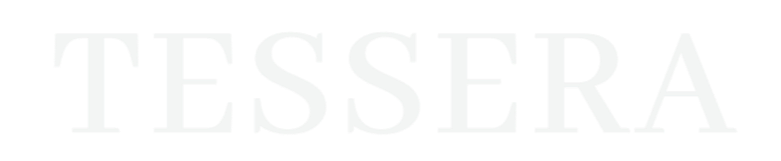 TESSERA - A Development Studio