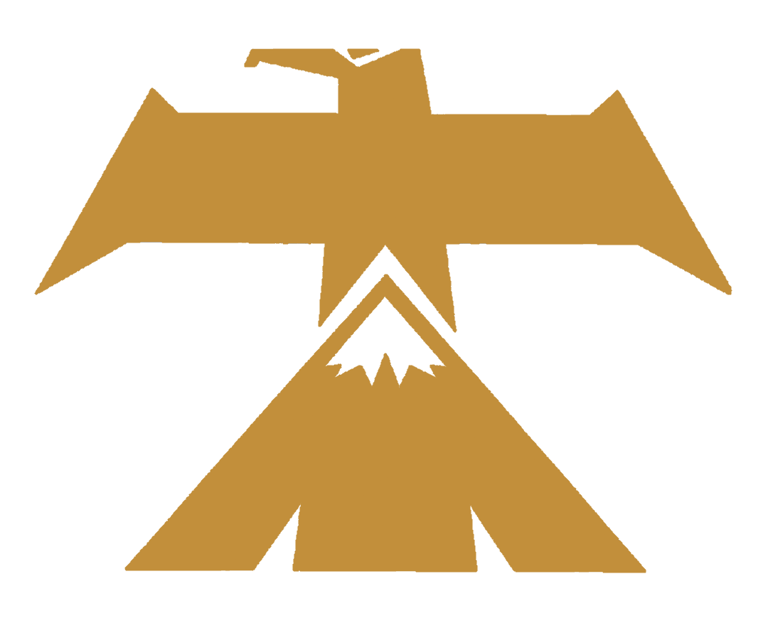 Faraz Mahoor Iranian