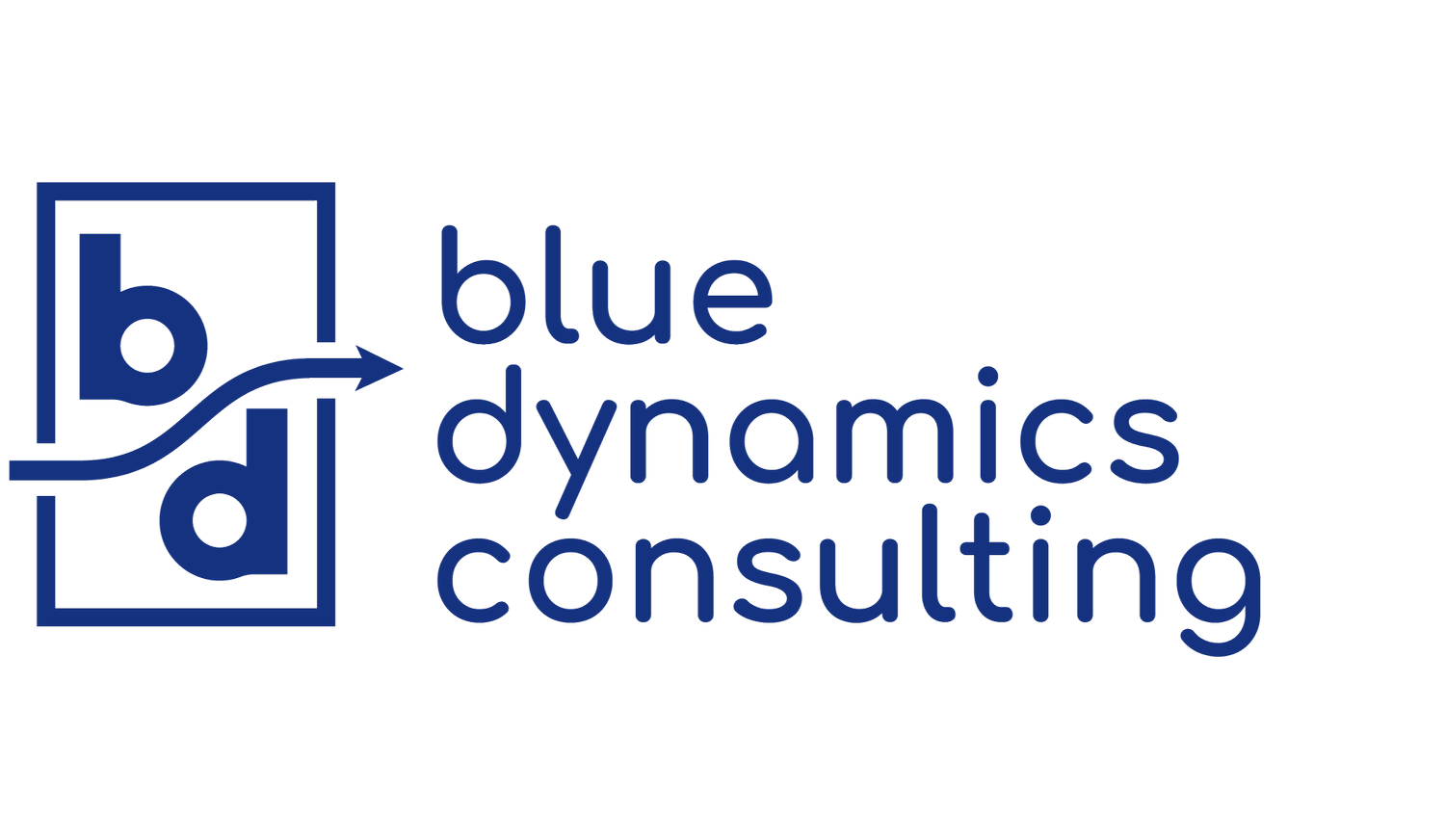 Blue Dynamics Consulting