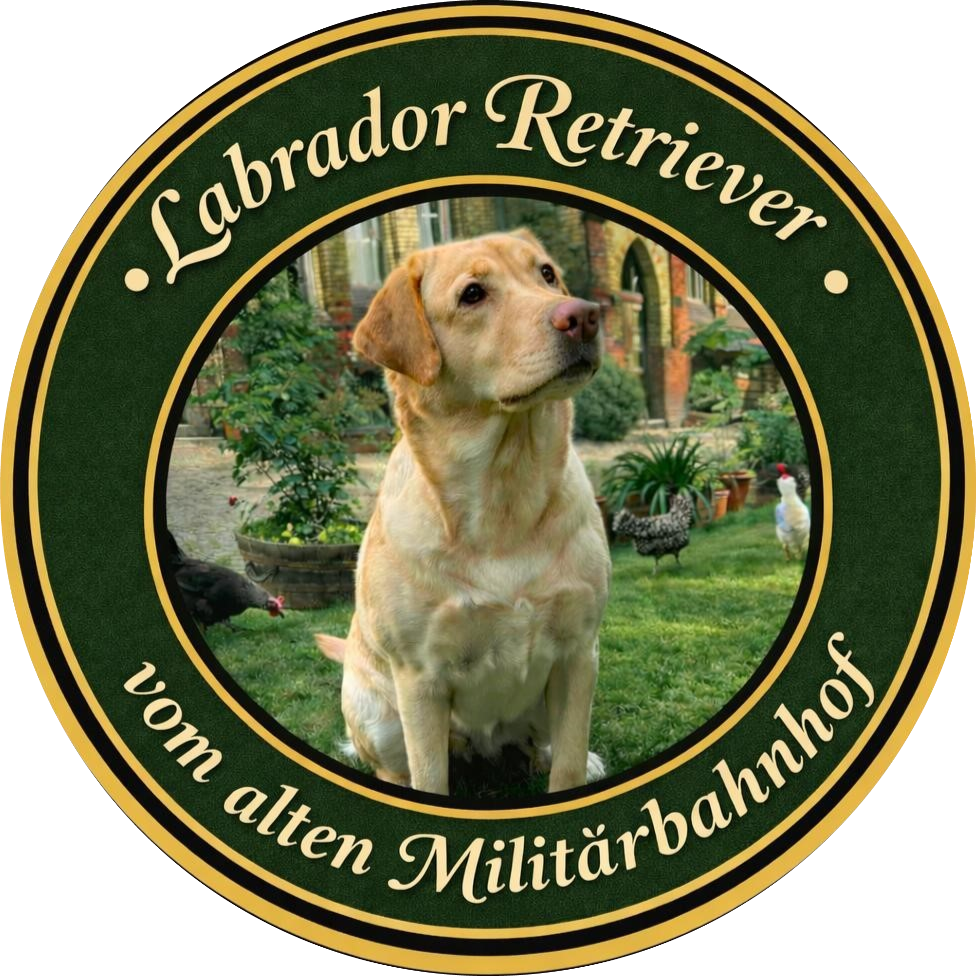 Vom alten Militärbahnhof