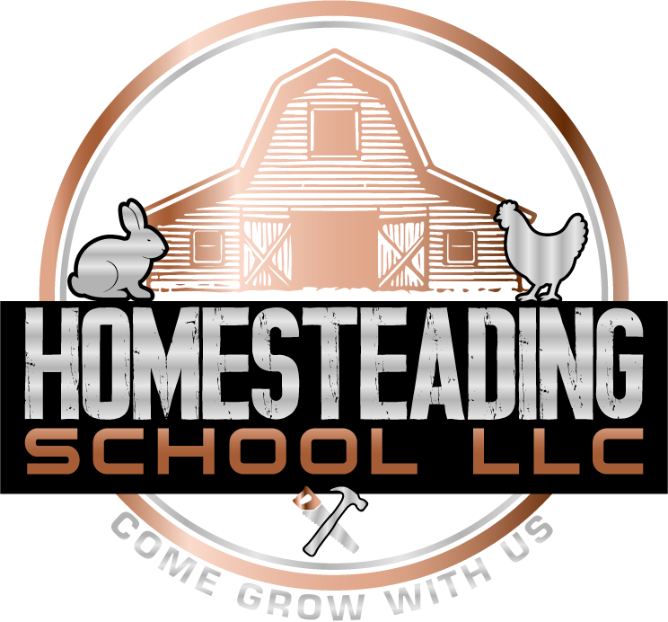 HOMESTEADING SCHOOL LLC
