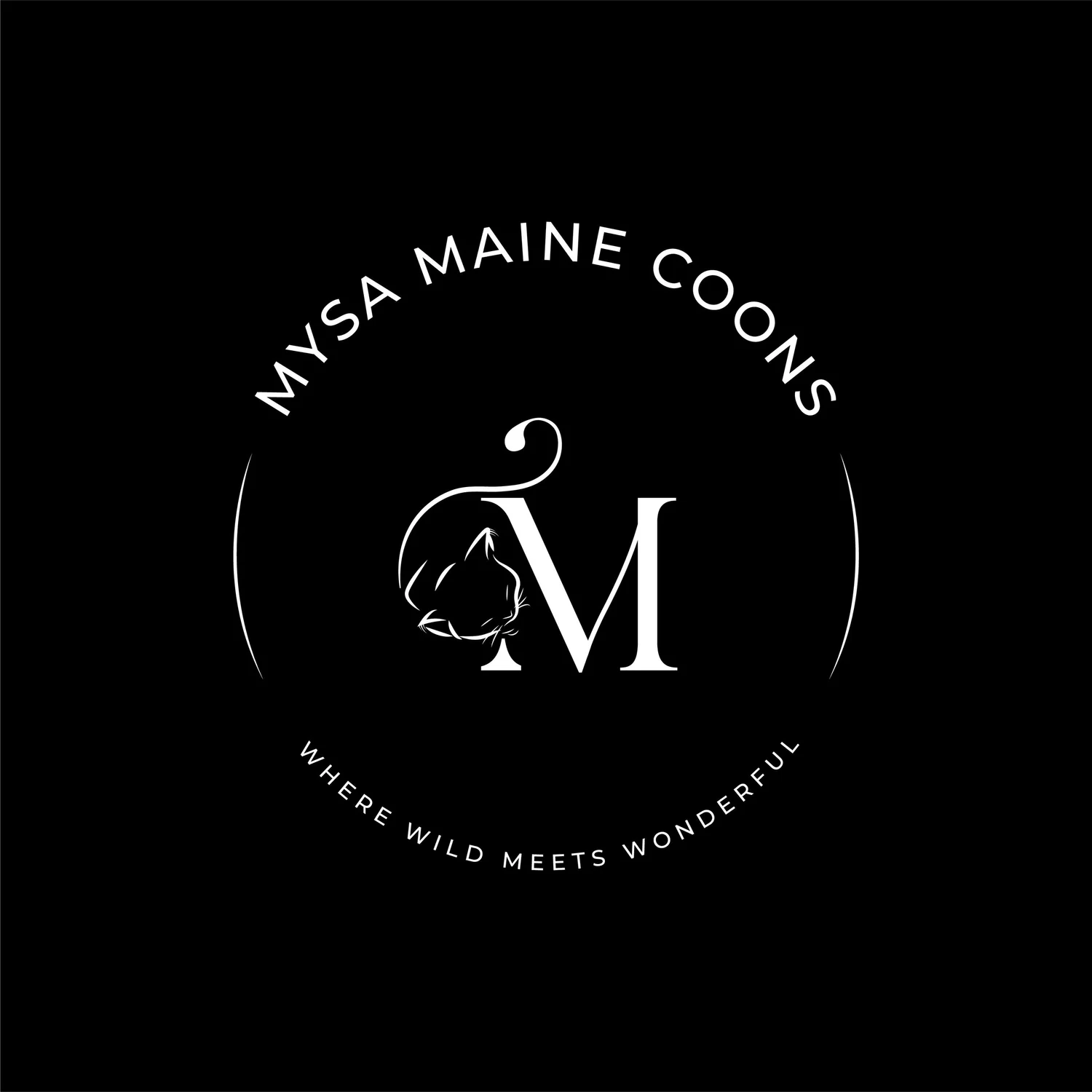 Mysa Maine Coons