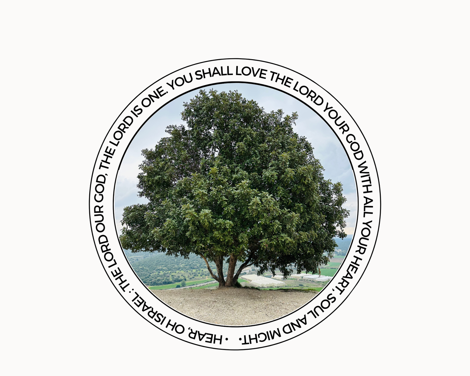 Deuteronomy 646 Project