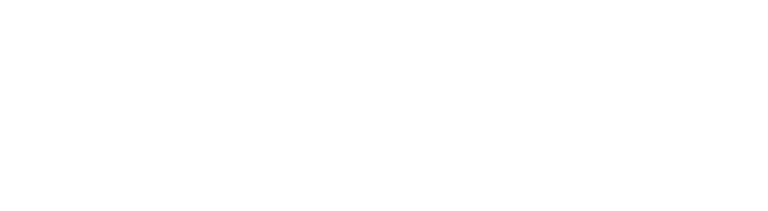 Levee Capital Management