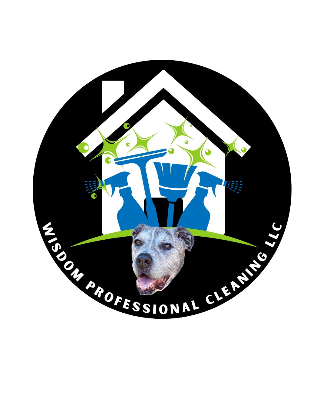 Wisdom Professional Cleaning