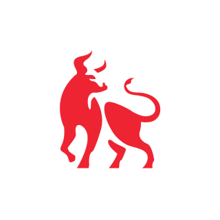 Toro Construction Group