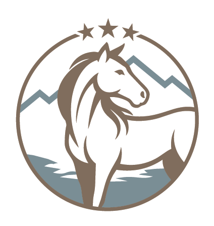 Nickel Financial Services