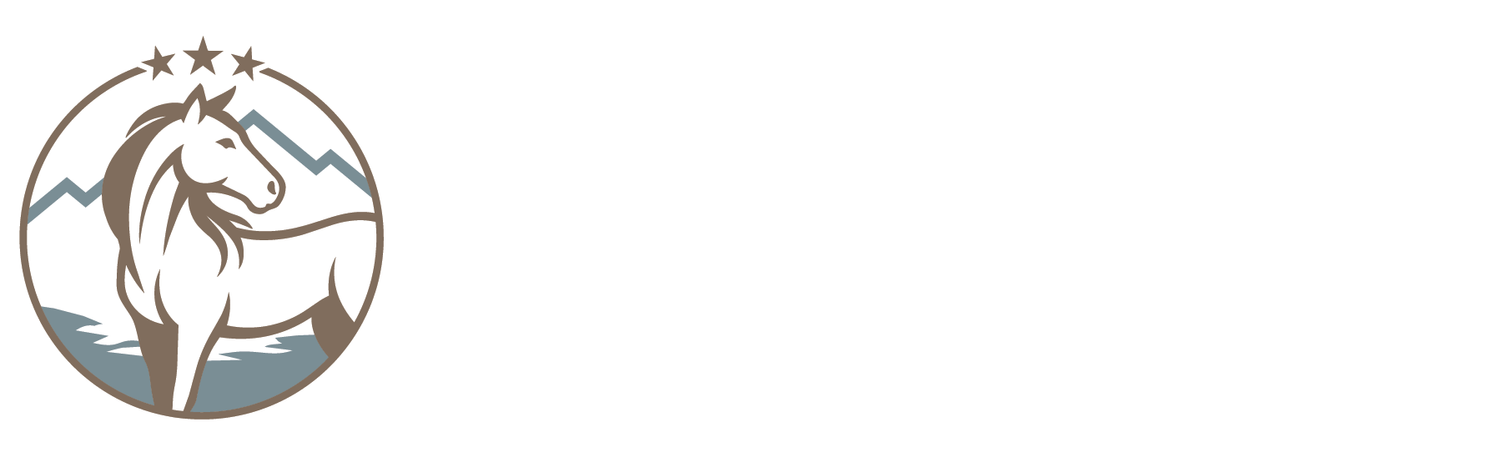 Nickel Financial Services